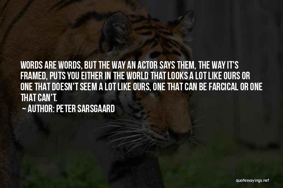 Peter Sarsgaard Quotes 908146