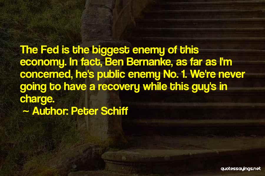 Peter Schiff Quotes 2056361