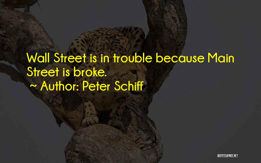 Peter Schiff Quotes 863087