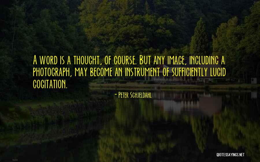 Peter Schjeldahl Quotes 1452808 Peter Schjeldahl Quotes 1452808