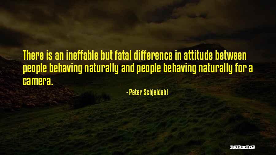 Peter Schjeldahl Quotes 1720498 Peter Schjeldahl Quotes 1720498