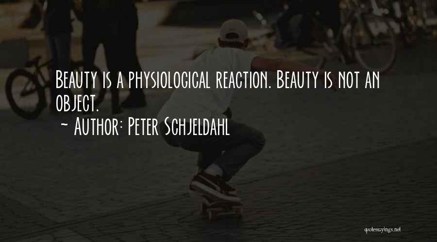 Peter Schjeldahl Quotes 853329