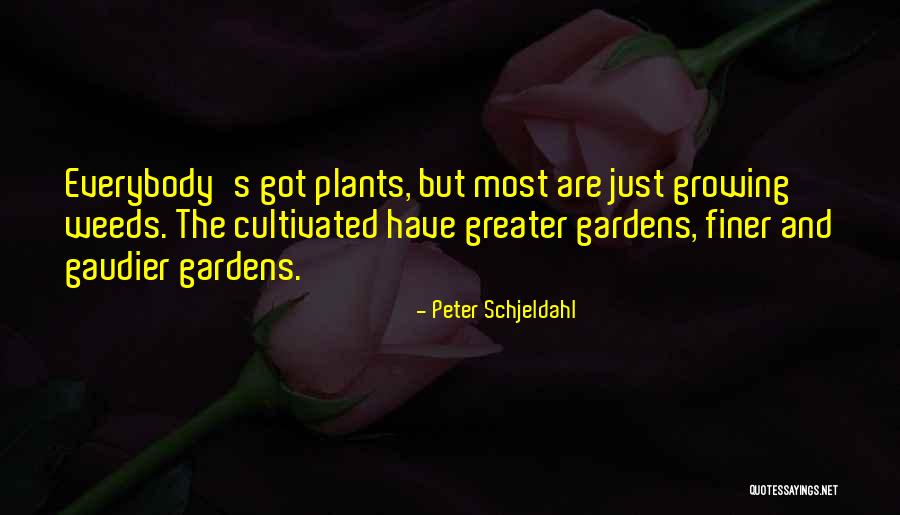 Peter Schjeldahl Quotes 861544