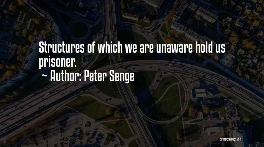 Peter Senge Quotes 1019552