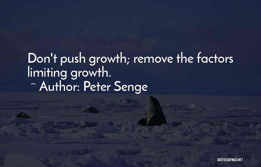 Peter Senge Quotes 1157762