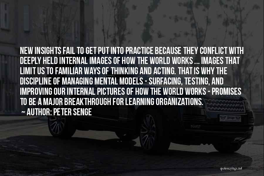 Peter Senge Quotes 1299446