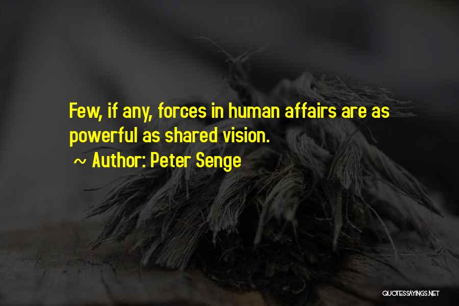 Peter Senge Quotes 1675231