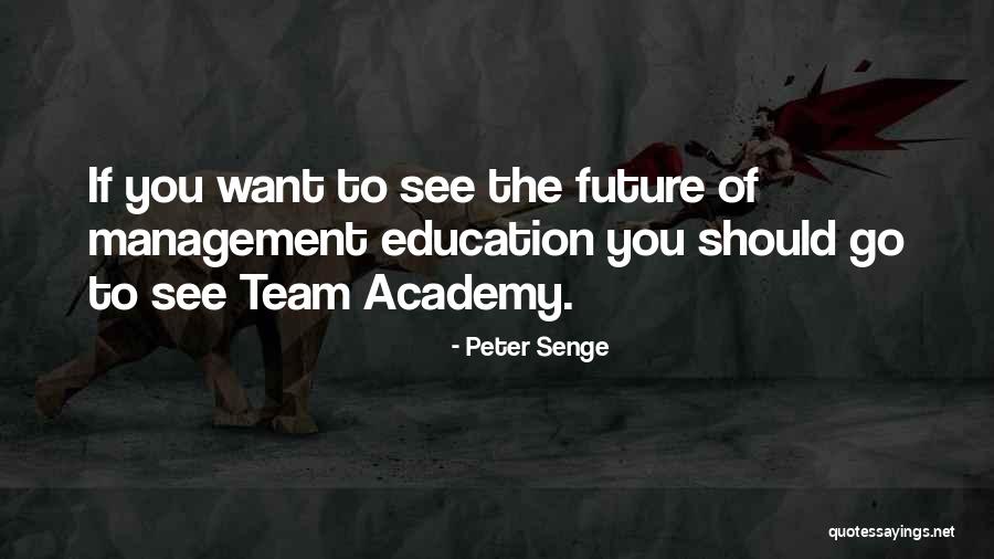 Peter Senge Quotes 1914306