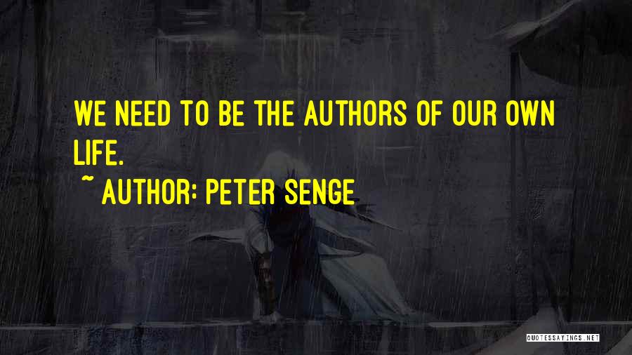 Peter Senge Quotes 206939