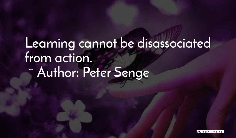 Peter Senge Quotes 460638