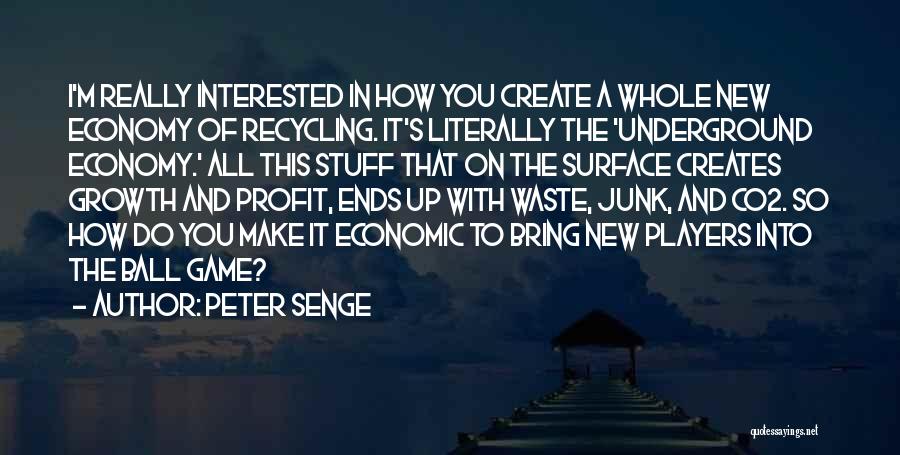 Peter Senge Quotes 896666