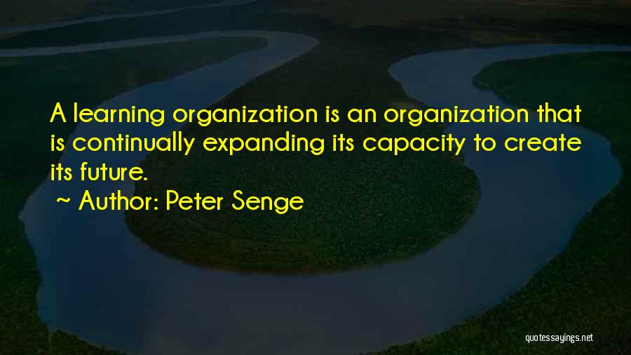 Peter Senge Quotes 978631