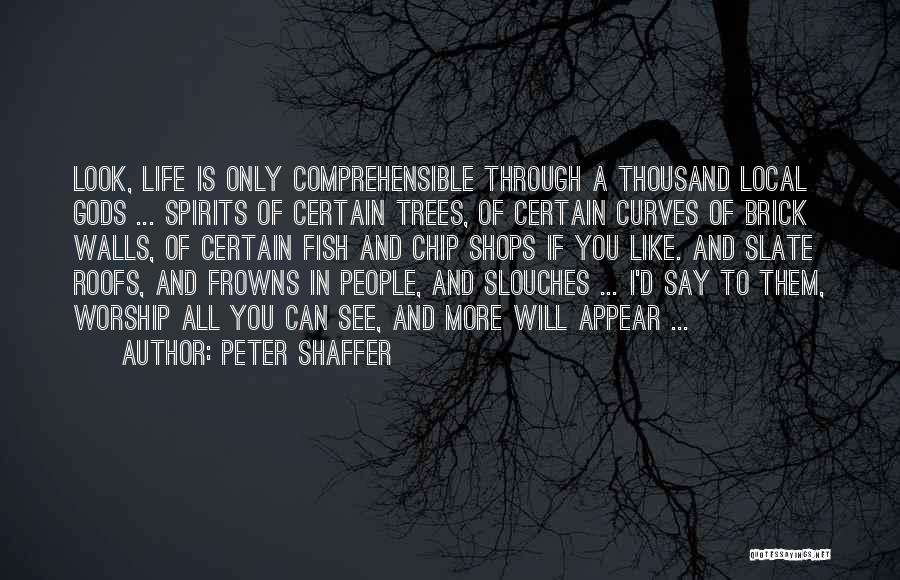 Peter Shaffer Quotes 1326680