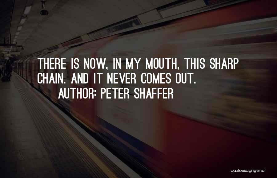 Peter Shaffer Quotes 1371612