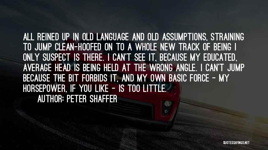 Peter Shaffer Quotes 795420