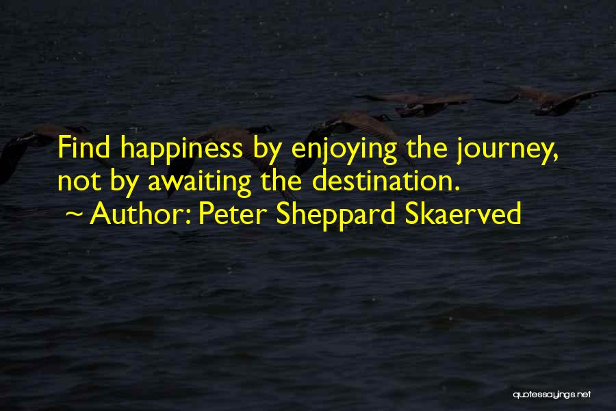 Peter Sheppard Skaerved Quotes 1642072