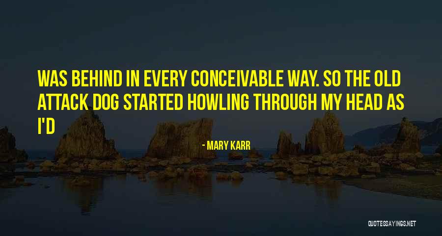 Peter Singer Utilitarianism Quotes By Mary Karr Peter Singer Utilitarianism Quotes By Mary Karr