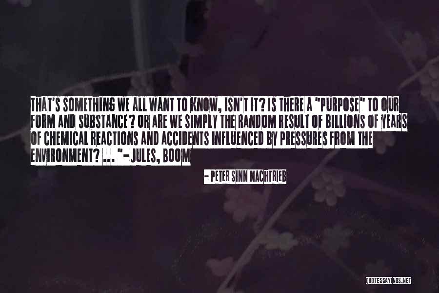 Peter Sinn Nachtrieb Quotes 303069 Peter Sinn Nachtrieb Quotes 303069