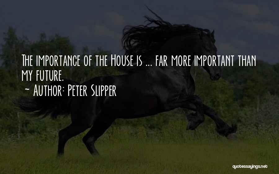 Peter Slipper Quotes 1485838