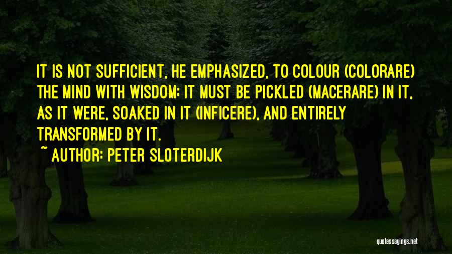 Peter Sloterdijk Quotes 1715152