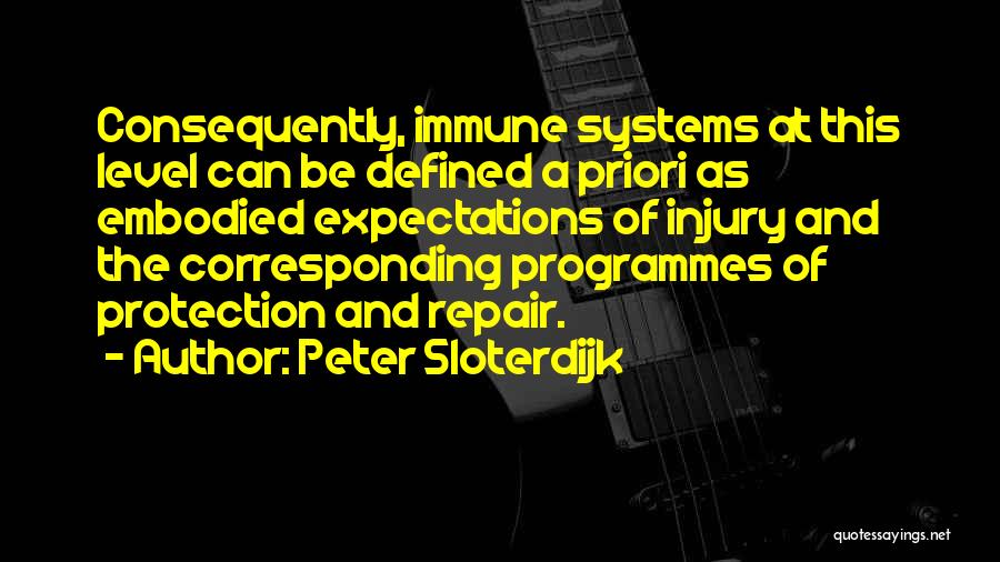 Peter Sloterdijk Quotes 1780708