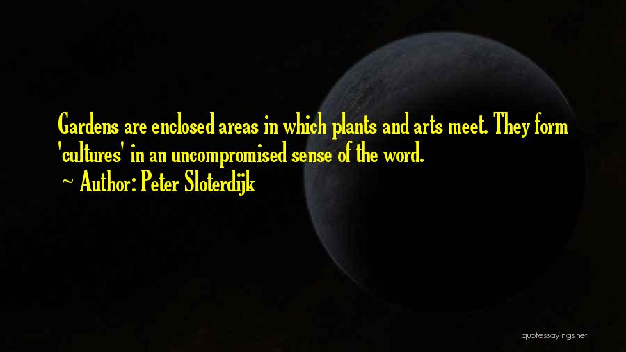 Peter Sloterdijk Quotes 638940
