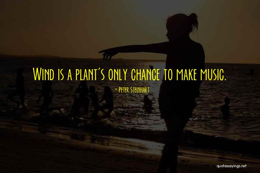 Peter Steinhart Quotes 393749
