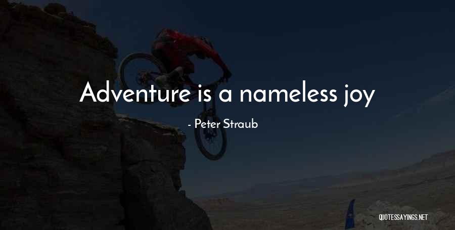 Peter Straub Quotes 130262