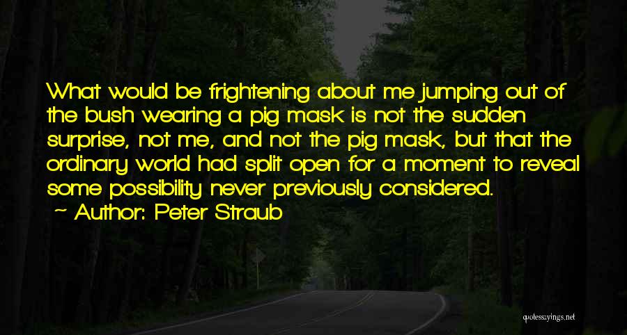 Peter Straub Quotes 1380733
