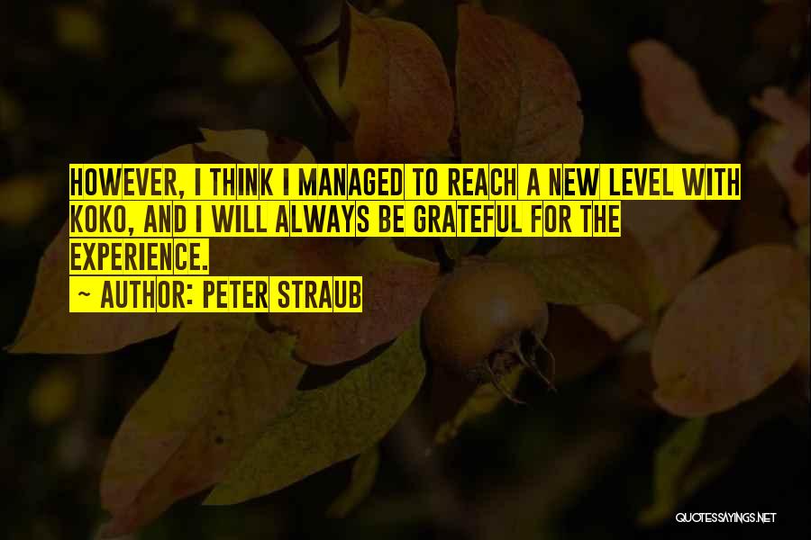 Peter Straub Quotes 2153647