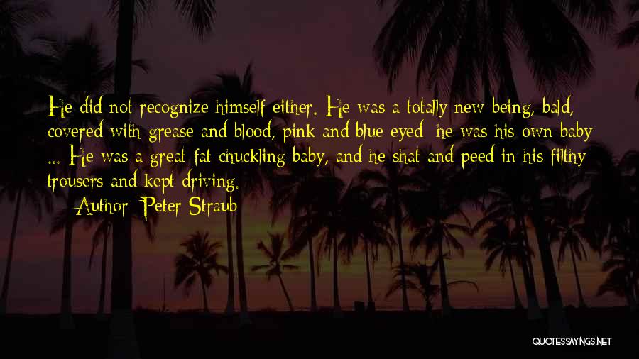 Peter Straub Quotes 414593