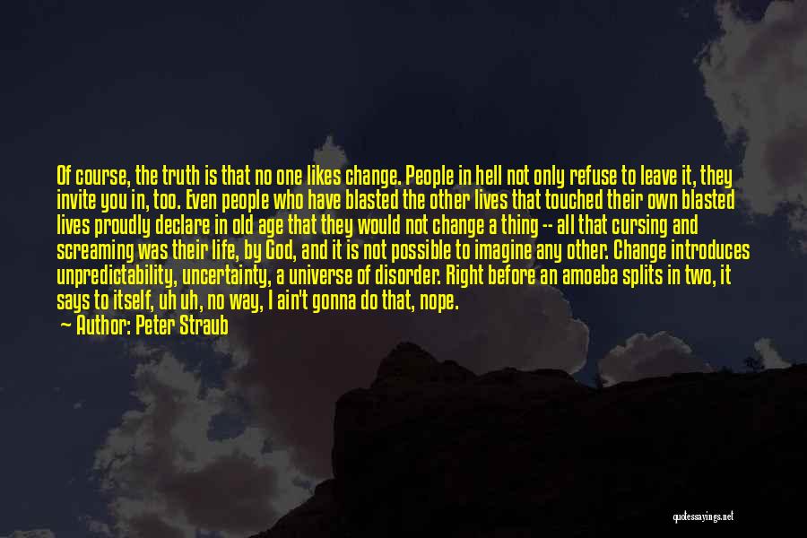 Peter Straub Quotes 516387