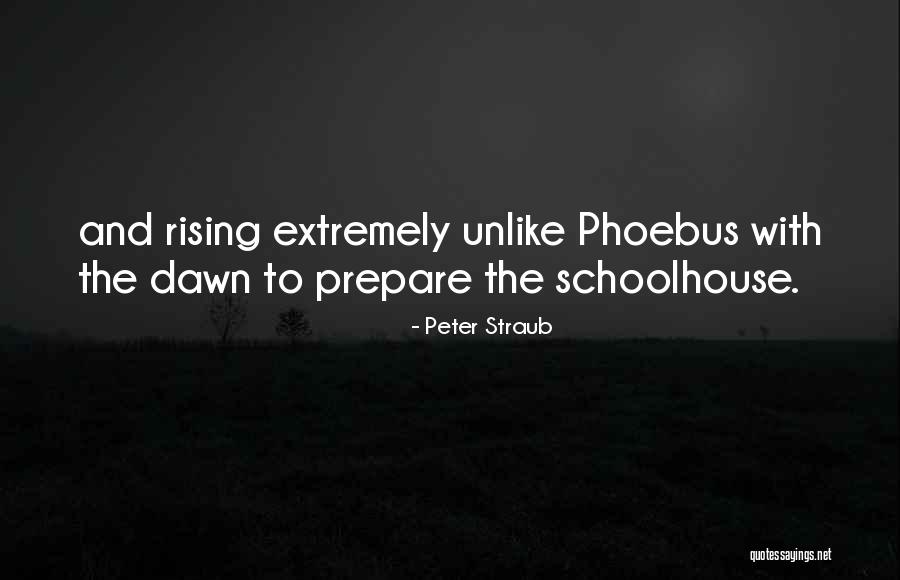 Peter Straub Quotes 617618
