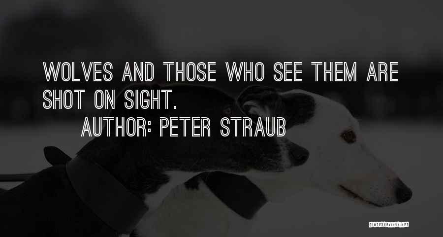 Peter Straub Quotes 806676