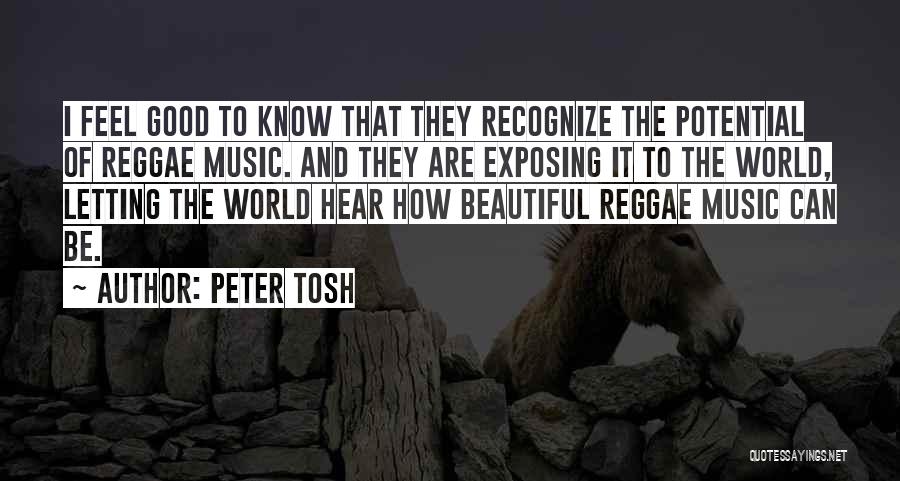 Peter Tosh Quotes 1769610