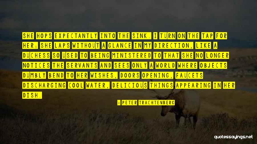 Peter Trachtenberg Quotes 224102 Peter Trachtenberg Quotes 224102