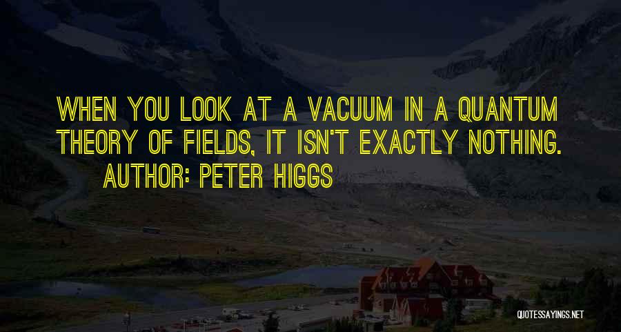 Peter W. Higgs Quotes By Peter Higgs