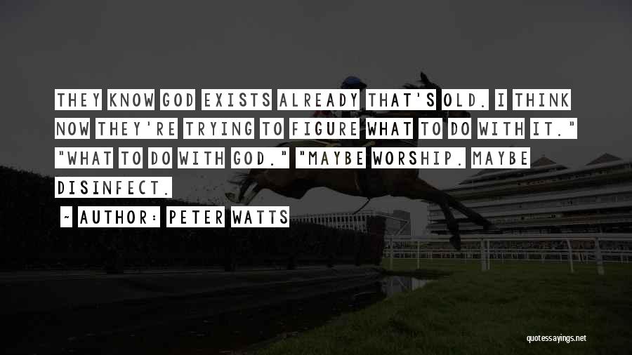 Peter Watts Quotes 1828278