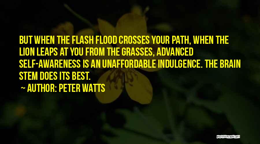 Peter Watts Quotes 2113833