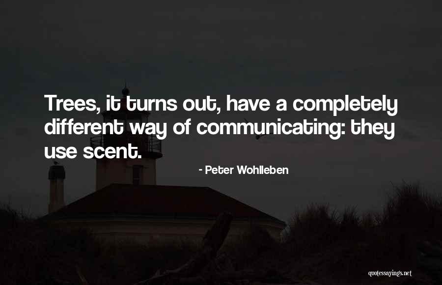 Peter Wohlleben Quotes 1091546 Peter Wohlleben Quotes 1091546