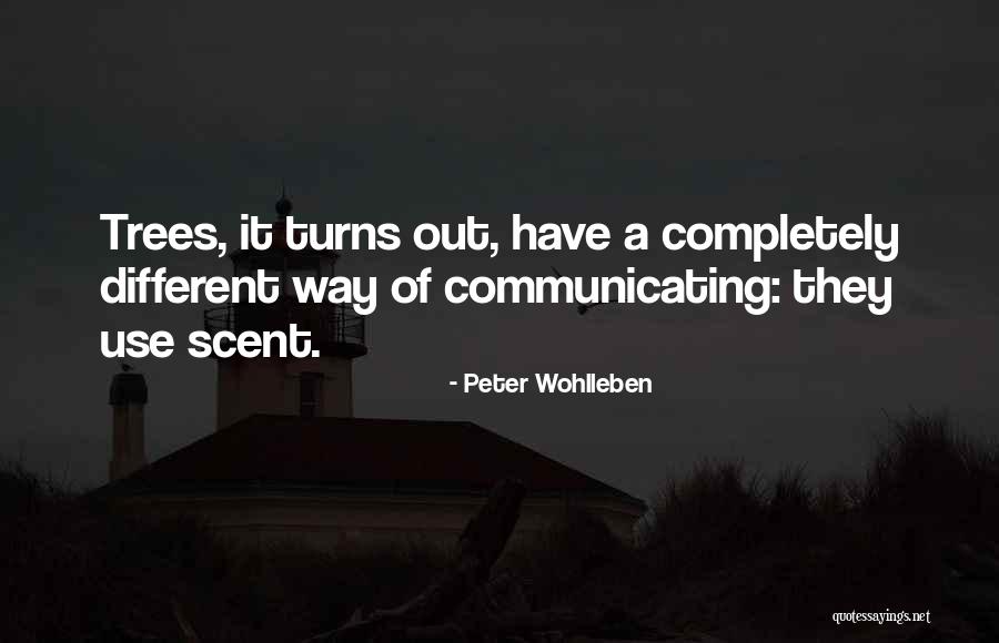 Peter Wohlleben Quotes 1091546