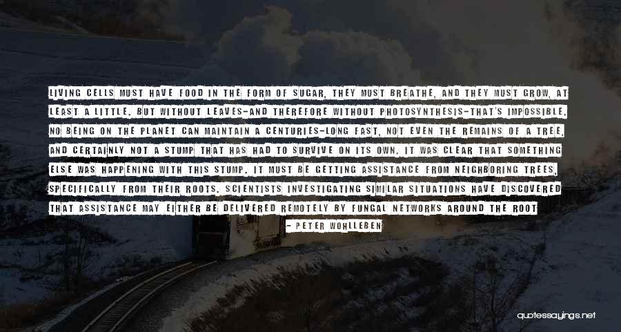 Peter Wohlleben Quotes 1155560 Peter Wohlleben Quotes 1155560