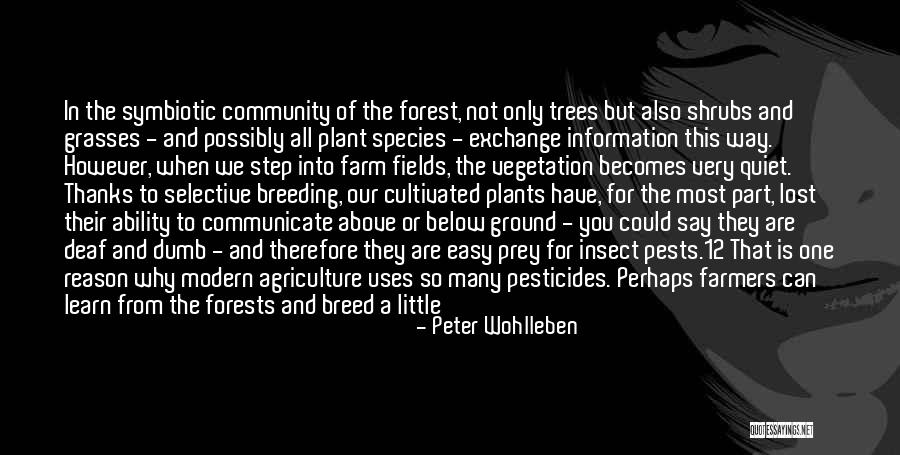 Peter Wohlleben Quotes 1244860