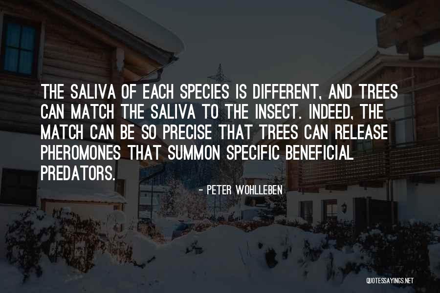 Peter Wohlleben Quotes 131510 Peter Wohlleben Quotes 131510