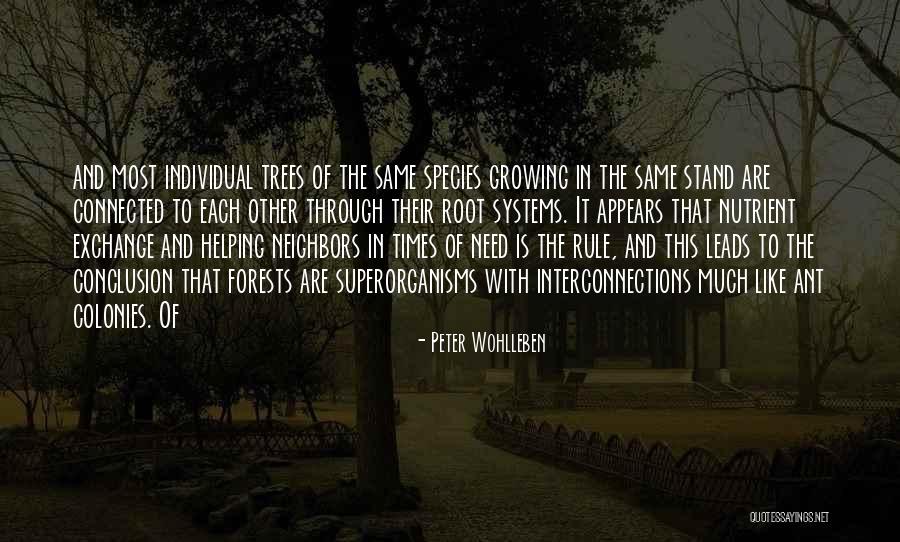 Peter Wohlleben Quotes 1357914 Peter Wohlleben Quotes 1357914
