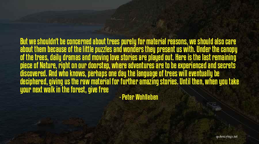 Peter Wohlleben Quotes 158847 Peter Wohlleben Quotes 158847