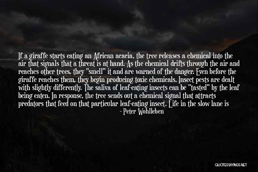 Peter Wohlleben Quotes 1599918 Peter Wohlleben Quotes 1599918