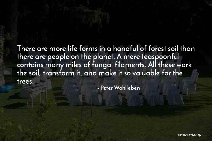 Peter Wohlleben Quotes 1672386 Peter Wohlleben Quotes 1672386
