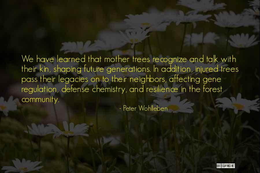 Peter Wohlleben Quotes 1681387 Peter Wohlleben Quotes 1681387