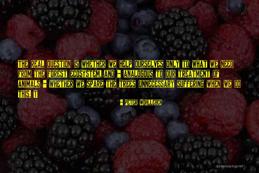 Peter Wohlleben Quotes 286529 Peter Wohlleben Quotes 286529